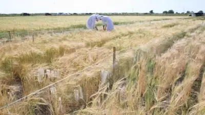 Zakon.kz, фото - Новости Zakon.kz от 09.11.2015 22:40