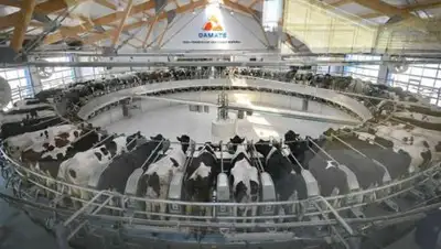 Валерия Бугаева, фото - Новости Zakon.kz от 07.04.2018 12:43