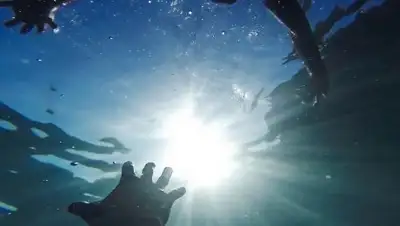 pixabay.com, фото - Новости Zakon.kz от 19.08.2018 21:56