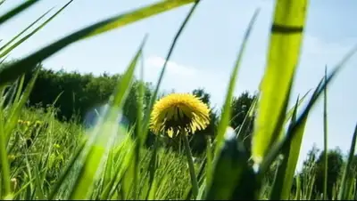 Zakon.kz, фото - Новости Zakon.kz от 02.06.2015 13:40