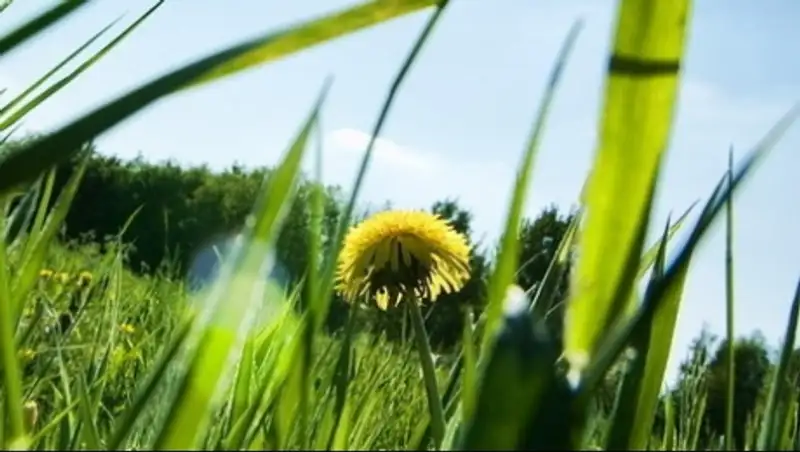 На большей части Казахстана сохраняется погода без осадков