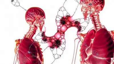 Pixabay, фото - Новости Zakon.kz от 19.09.2020 14:08