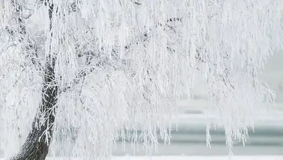 зима мороз, фото - Новости Zakon.kz от 05.12.2021 15:45