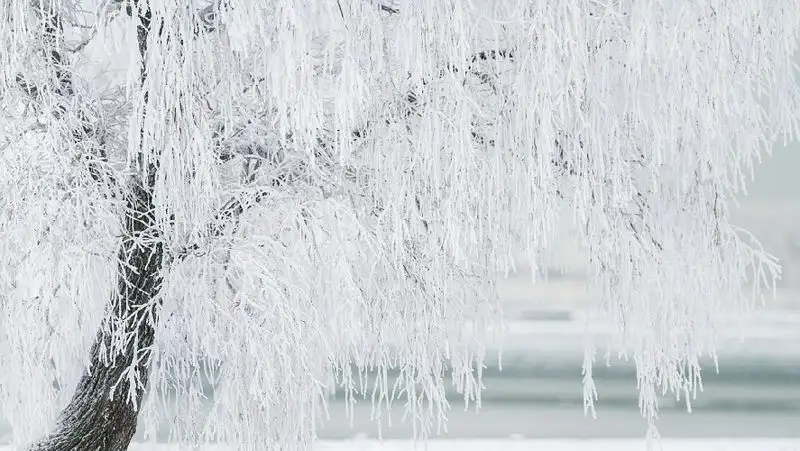 Гололед, туман и ветер ожидаются в Казахстане 6 декабря