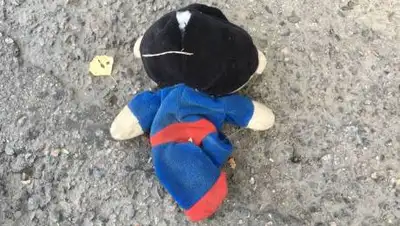 Торгын Нурсеитова, фото - Новости Zakon.kz от 26.09.2020 01:28