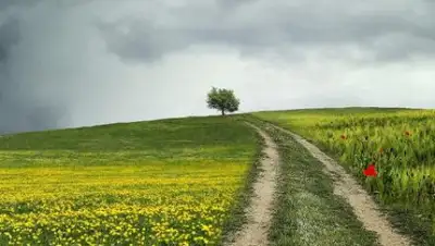 zakon.kz., фото - Новости Zakon.kz от 04.08.2020 06:00