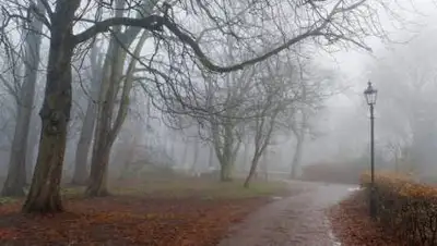 zakon.kz., фото - Новости Zakon.kz от 09.11.2020 06:02