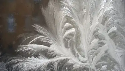 pixabay, фото - Новости Zakon.kz от 01.02.2019 07:24