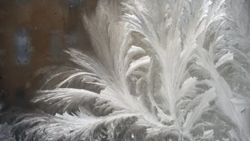 В Астане и Павлодаре отменили школьные занятия