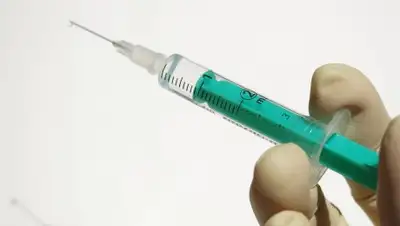 Pixabay, фото - Новости Zakon.kz от 05.02.2019 17:32