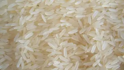 Zakon.kz, фото - Новости Zakon.kz от 04.10.2016 21:25