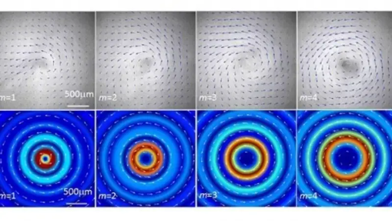 Физики из Британии создали настоящий нано-аналог "звуковой отвертки" Доктора Кто