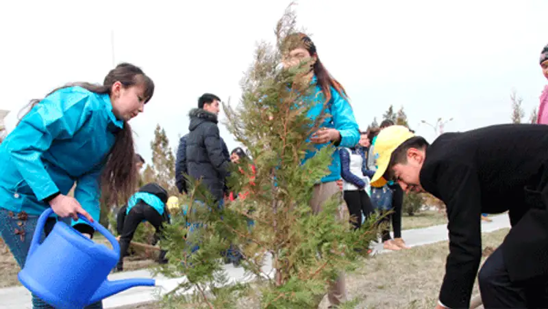 В Жамбылской области стартовал трудовой сезон «Жасыл ел»
