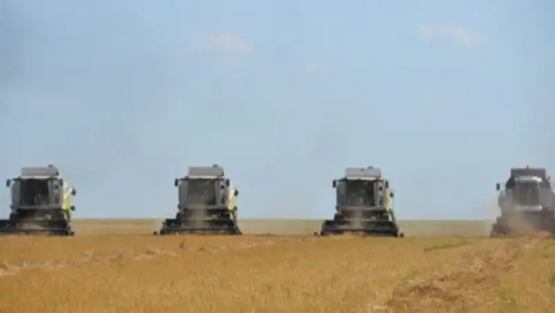 В Павлодарской области завершена уборка зерновых культур и картофеля
