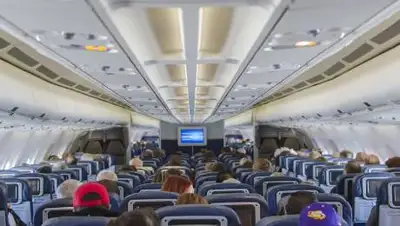 pixabay.com, фото - Новости Zakon.kz от 13.03.2021 23:29