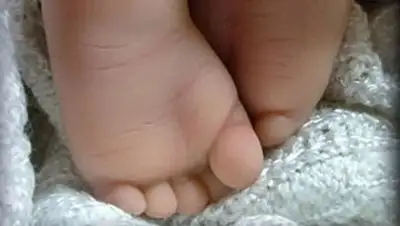 Zakon.kz, фото - Новости Zakon.kz от 05.11.2014 00:00