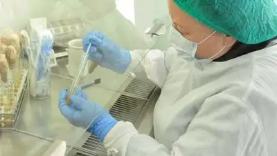 biosafety.kz, фото - Новости Zakon.kz от 30.10.2021 12:22