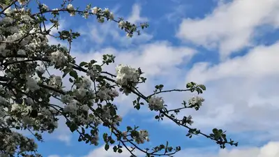 Что приготовил нам апрель - казахстанские синоптики дали прогноз на второй весенний месяц, фото - Новости Zakon.kz от 02.04.2023 06:39