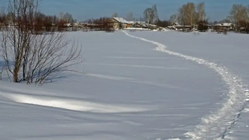 Стали известны подробности гибели школьника, найденного в арыке
