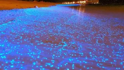 Zakon.kz, фото - Новости Zakon.kz от 29.01.2015 18:15