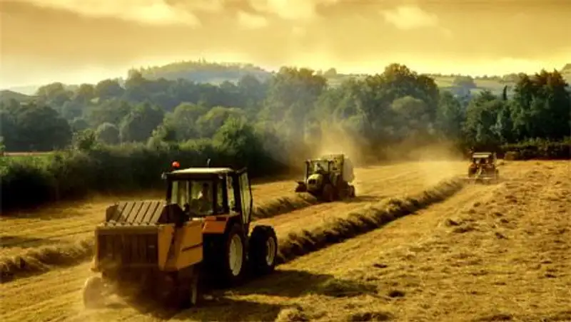 В ВКО казахстанско-белорусское сотрудничество приносит реальные плоды 