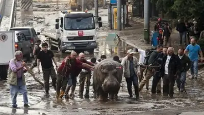 Zakon.kz, фото - Новости Zakon.kz от 16.06.2015 14:24