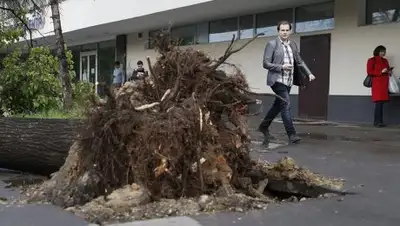 Zakon.kz, фото - Новости Zakon.kz от 30.05.2017 13:14