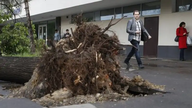 Количество пострадавших от урагана в Москве приблизилось к 140