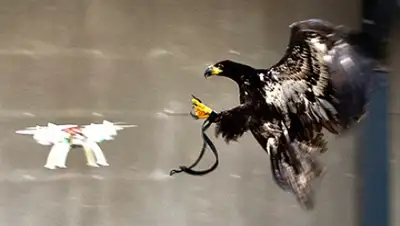 Zakon.kz, фото - Новости Zakon.kz от 08.02.2016 21:14