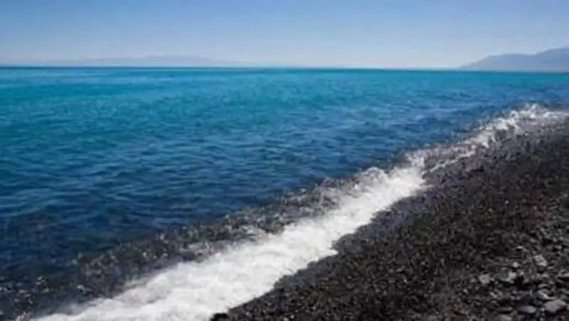 Мажилисмены пожаловались Масимову на антисанитарию в общепитах Алаколя