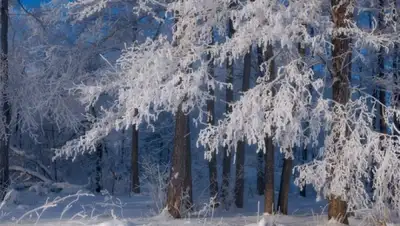 Zakon.kz, фото - Новости Zakon.kz от 29.01.2015 15:06