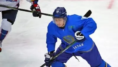 Sports.kz, фото - Новости Zakon.kz от 03.02.2018 21:21