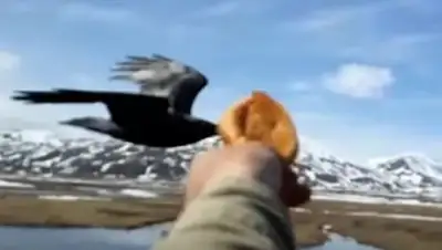 Zakon.kz, фото - Новости Zakon.kz от 05.10.2017 06:46