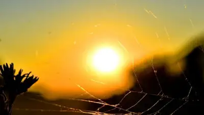 pixnio.com, фото - Новости Zakon.kz от 09.10.2019 09:00