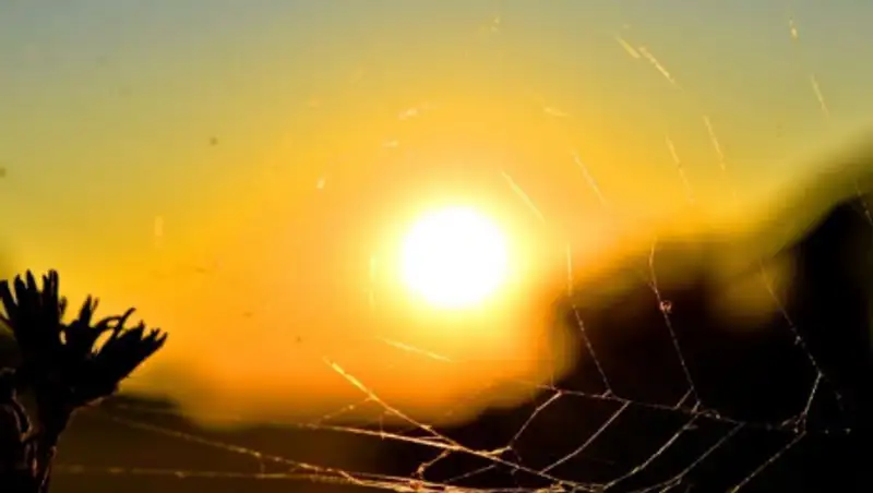 Среда обещает быть без осадков на большей территории Казахстана