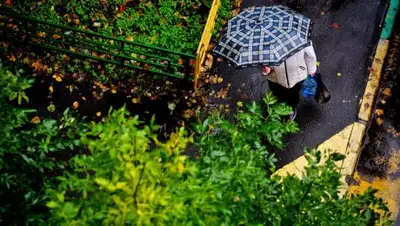 Zakon.kz, фото - Новости Zakon.kz от 19.09.2016 12:00