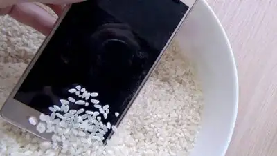 tarifkin.ru, фото - Новости Zakon.kz от 22.02.2021 01:56