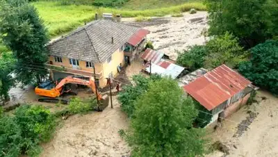 twitter.com, фото - Новости Zakon.kz от 12.08.2021 12:49