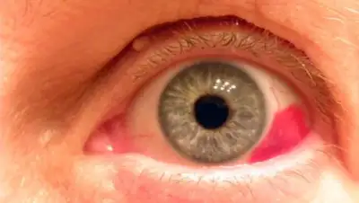 из открытых источников, фото - Новости Zakon.kz от 29.01.2019 11:21