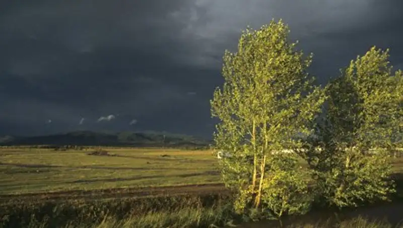 Велосипедиста убило молнией в Восточном Казахстане