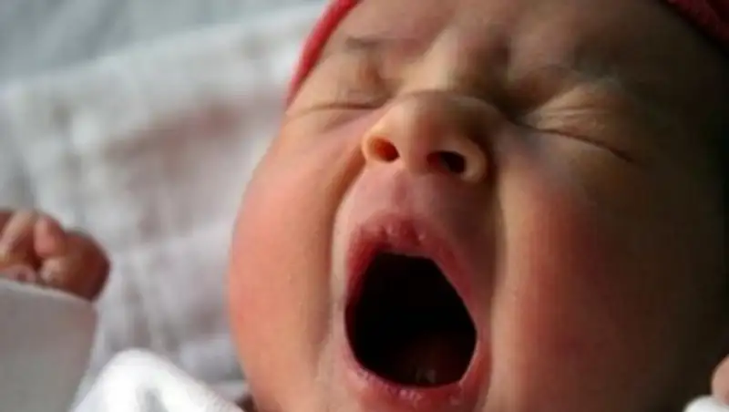 Биологи: Длительная и разнообразная зевота — признак большого мозга