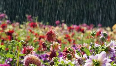 Zakon.kz, фото - Новости Zakon.kz от 26.06.2016 12:07