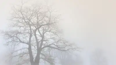 В нескольких городах Казахстана снова прогнозируют неблагоприятные метеоусловия, фото - Новости Zakon.kz от 13.01.2023 06:34