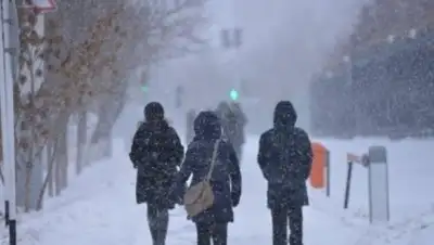 Zakon.kz, фото - Новости Zakon.kz от 09.12.2016 18:54