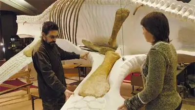 Zakon.kz, фото - Новости Zakon.kz от 30.09.2014 02:18