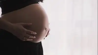 pixabay.com, фото - Новости Zakon.kz от 24.01.2021 12:43