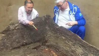 Zakon.kz, фото - Новости Zakon.kz от 01.08.2017 20:16