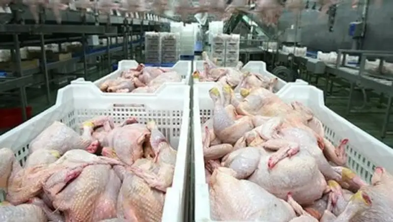 Кыргызстан ввел ограничения на ввоз мяса птиц из РК неправомерно - МСХ