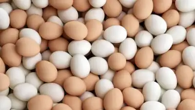 pixabay.com, фото - Новости Zakon.kz от 21.09.2020 15:29