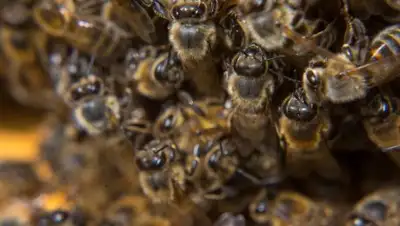 Zakon.kz, фото - Новости Zakon.kz от 19.09.2017 01:42